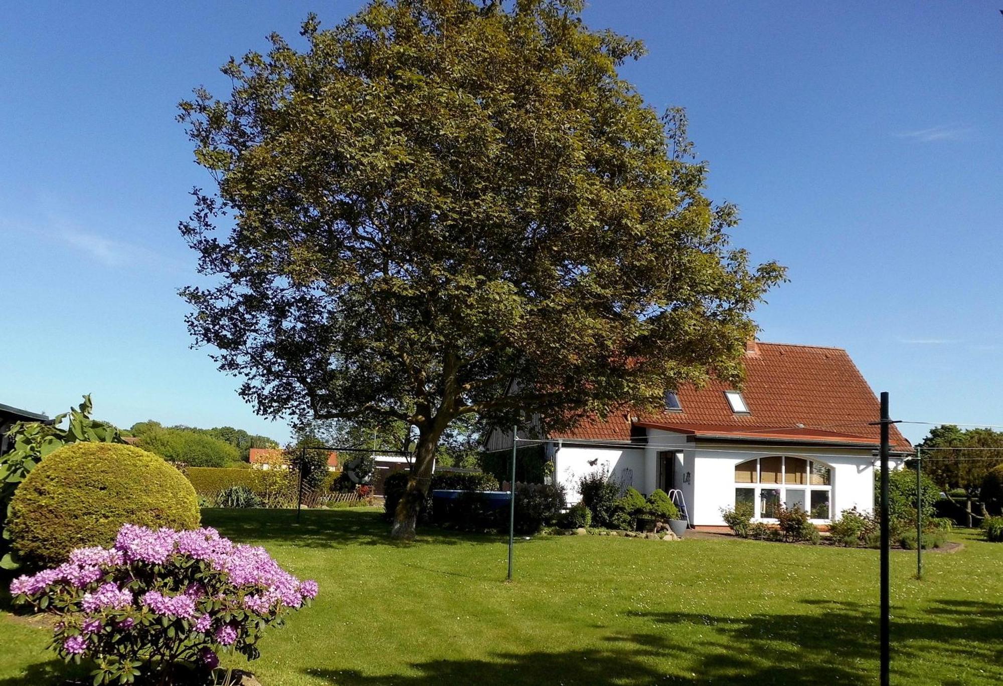 Bungalow Und Ferienwohnung Auf Ruegen Kluis Dış mekan fotoğraf